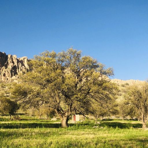 دیدنی های شهرستان رستم